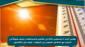 طقس الأحد 3 أغسطس 2025 في القاهرة والمحافظات يشهد هبوطاً في الحرارة مع انخفاض ملموس في الرطوبة – تعرف على التفاصيل